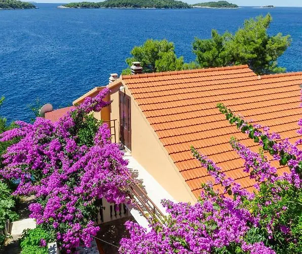 Ljiljana דירה Blato (Korcula)