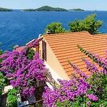 Ljiljana Διαμέρισμα Blato (Korcula)