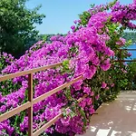 Ljiljana Διαμέρισμα *