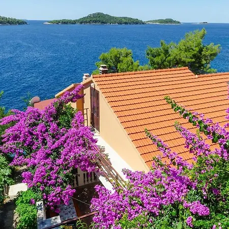 Ljiljana Appartamento Blato (Korcula)