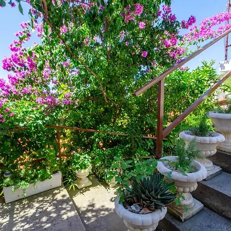Ljiljana Apartament *