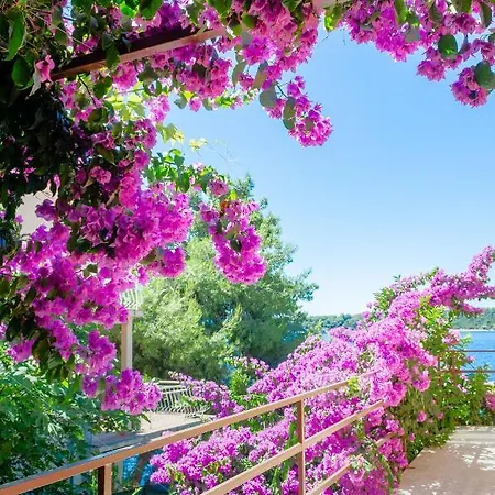 شقة Ljiljana Blato (Korcula)